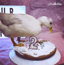 Walking Duck GIF - Walking Duck Birthday Cake GIFs
