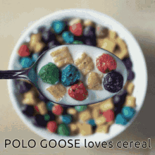 Polo Goose GIF - Polo Goose GIFs