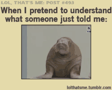 Walrus Interesting GIF - Walrus Interesting When I Pretend To Understand What Someone Just Told Me GIFs