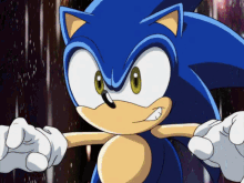 sonic project x all characters hentai gifs sonic project x all characters hentai gifs