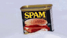 shoot spam