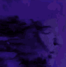 Prince Purple GIF - Prince Purple Rock GIFs