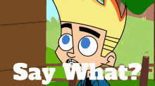 Johnny Test Say What GIF - Johnny Test Say What What Did You Say GIFs