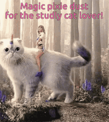 Taylor Swift Cat GIF - Taylor Swift Cat Pixie Dust GIFs