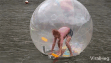 Inflatable Human Hamster Ball Funny GIF - Inflatable Human Hamster Ball Funny Hilarious GIFs