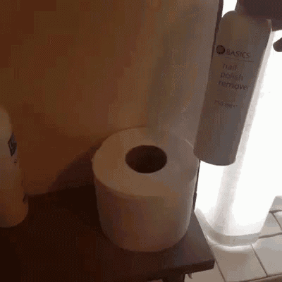 Paper test girth toilet roll the What is