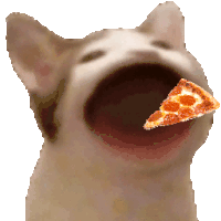 Pizza Cat Sticker - Pizza Cat Pizza Cat Stickers