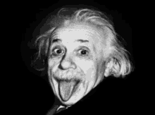 Licker Einstein GIF - Licker Einstein Buldgingeyes GIFs
