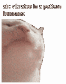Payzman Cat GIF - Payzman Cat Meme GIFs