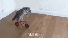 Dami Kais GIF - Dami Kais Bike GIFs