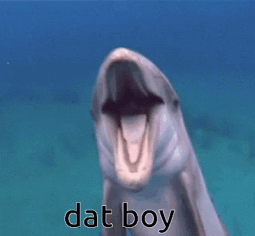 Dat Boy Dolphin GIF - Dat Boy Dolphin That Boy - Discover & Share GIFs