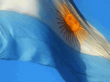 Viva La Patria Argentina GIF - Independencia Argentina Flag GIFs