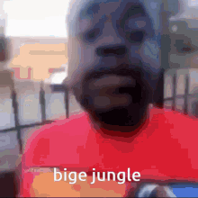Bige Bige Jungle GIF - Bige Bige Jungle Shugoki Ward GIFs