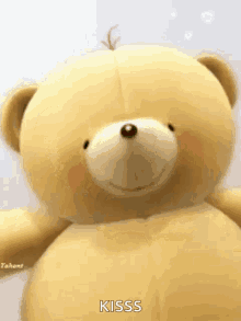 Teddy Bear Smell GIF - Teddy Bear Smell Rose GIFs