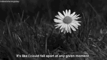 Flower Depression GIF - Flower Depression Suicide GIFs