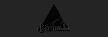 The Bermuda GIF - The Bermuda Triangle GIFs