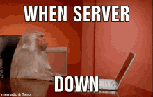 When Server Down Iceeramen GIF - When Server Down Iceeramen Monkey GIFs
