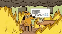 This Is Fine Quebec GIF - This Is Fine Quebec Environment Et Lutte Contre GIFs