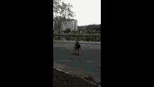 ali cai
