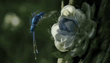 Blue Flower GIF - Blue Flower Animation GIFs