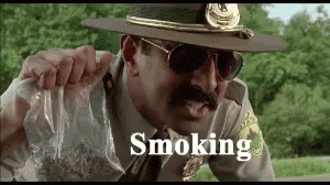 Super Troopers GIF.