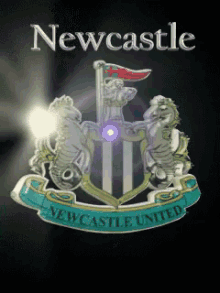 Newcastle United GIF - Newcastle United GIFs