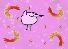 shrimp song flamingo shrimp song flamingo