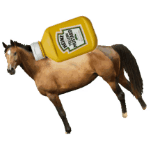 horsey mustard