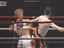 那須川天心 日本のキックボクサー、総合格闘家 Rise GIF - Tenshin Nakusawa Kickboxing GIFs