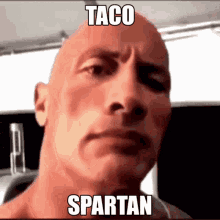 Tacospartan Hyliantactician GIF - Tacospartan Taco Spartan GIFs