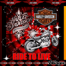 Harley Davidson Harley Davidson Motorcycles GIF - Harley Davidson Harley Davidson Motorcycles Live To Ride GIFs