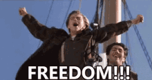 Leonardo Di Caprio Freedom GIF - Leonardo Di Caprio Freedom Titanic GIFs