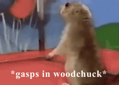 Gasps In GIF - Gasps In Woodchuck GIFs