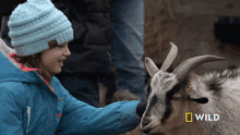 Petting National Geographic GIF - Petting National Geographic Wizard Of Paws GIFs
