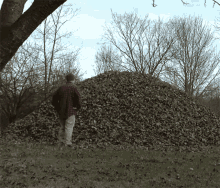 hojas bellpuig leaves jump dive leaf pile hojas bellpuig leaves jump dive leaf pile