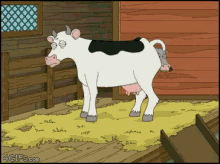 Cow Calf GIF - Cow Calf Baby GIFs