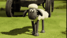 Shocked Zooming In GIF - Shocked Zooming In Shaun The Sheep GIFs