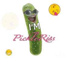pickle im pickle riss