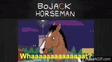 Bojack Horseman What GIF - Bojack Horseman What Unsure GIFs