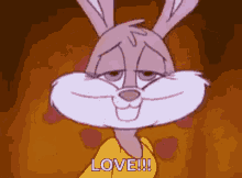 Bunny bunny love