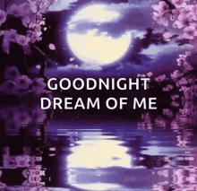 goodnight dreams moon love dream of me