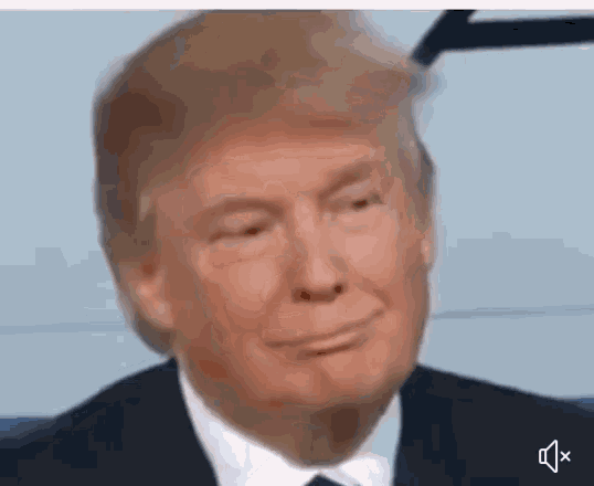 Donald Trump GIF - Donald Trump - Descubre & Comparte GIFs.