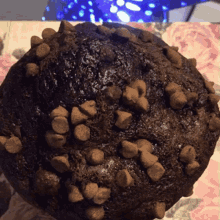 Chocolate Muffin Muffins GIF - Chocolate Muffin Muffins Double Chocolate Muffin GIFs