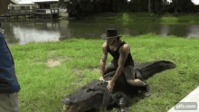 Florida Man Chandlers Wildlife GIF - Florida Man Chandlers Wildlife Alligator GIFs