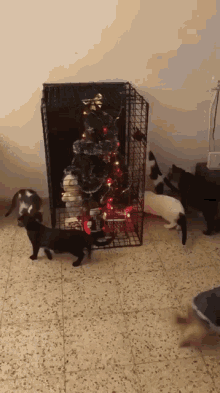Cat Cats GIF - Cat Cats Christmas Tree GIFs