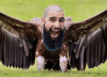 Heem Vulture Vulture Heem GIF - Heem Vulture Vulture Heem GIFs