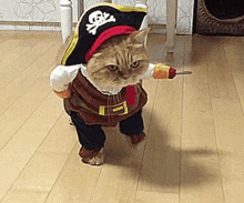 Pirate Cat GIF - Pirate Cat Cute Kitten GIFs