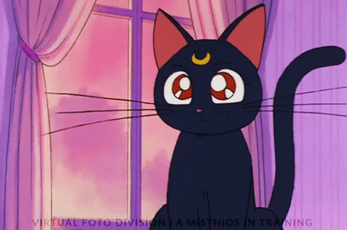 Sailor Moon Luna GIF - Sailor Moon Luna Cat GIFs