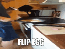 Egg Flip The Egg GIF - Egg Flip The Egg Cooking GIFs