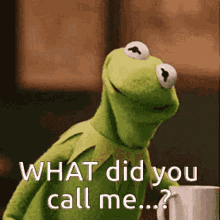 Kermit Muppet GIF - Kermit Muppet What Did You Call Me GIFs